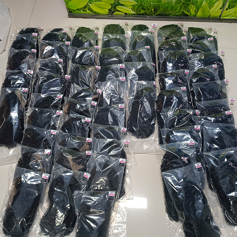 LIVIA 2 PCS 13x4 HD Lace Frontal Wig Natural Black Wholesale Package Deal